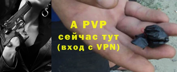 спиды Покачи