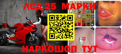 шишки Бийск