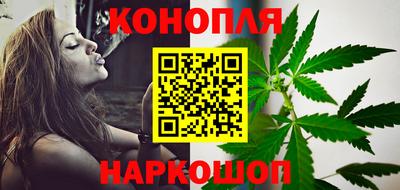 шишки Бийск