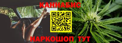 сатива Бузулук