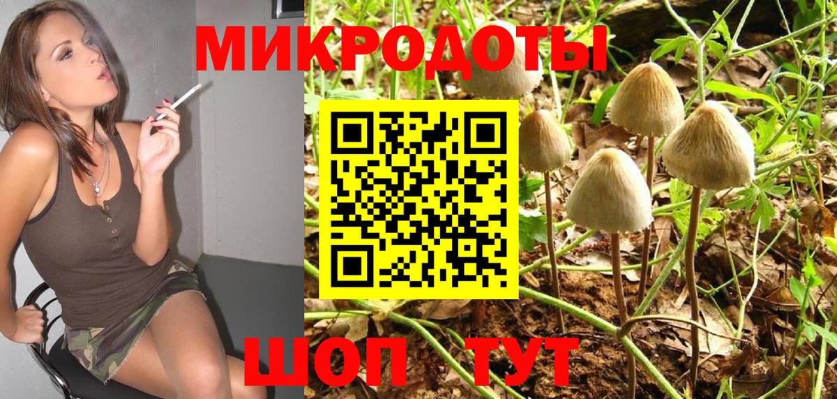 Псилоцибиновые грибы прущие грибы  где можно купить   Волжск  Псилоцибиновые грибы Psilocybine cubensis  Вход с VPN 