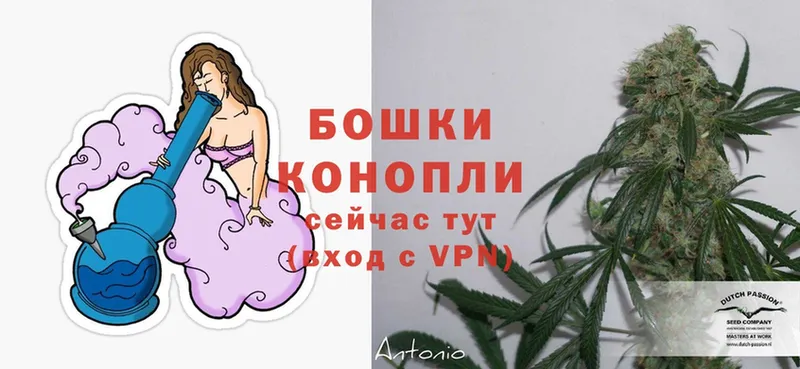 купить наркоту  Волжск  Канабис LSD WEED 